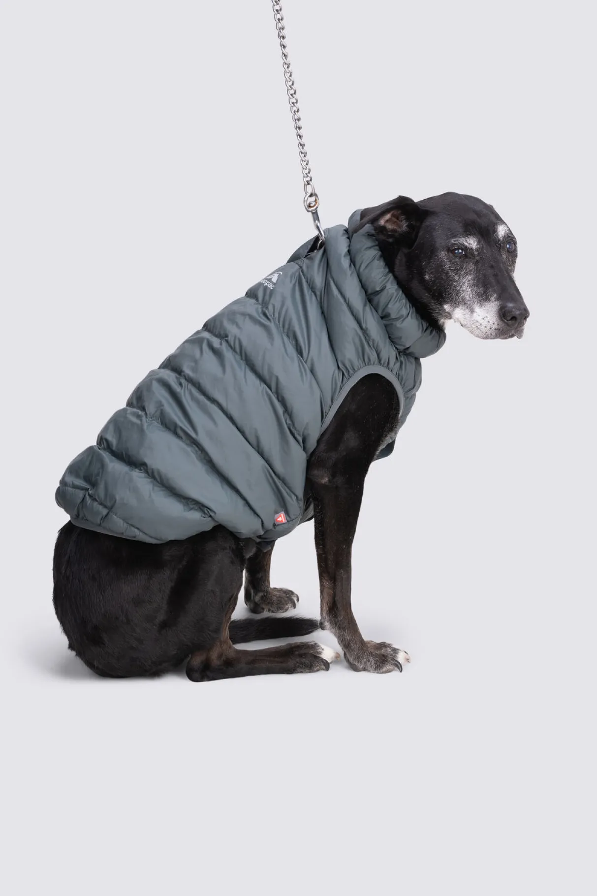Macpac Dog Jackets> Dog Coat— L