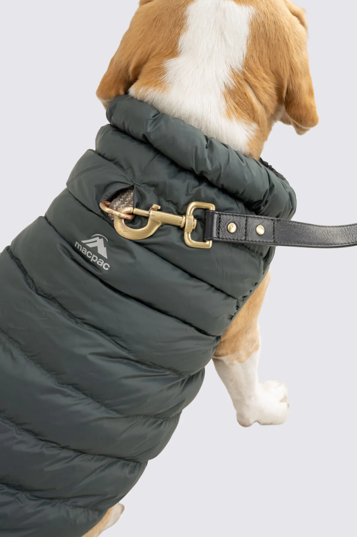 Macpac Dog Jackets> Dog Coat— M